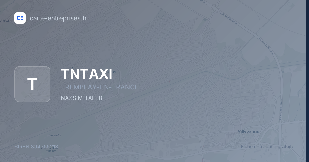 TNTAXI — 894355213 — fiche entreprise