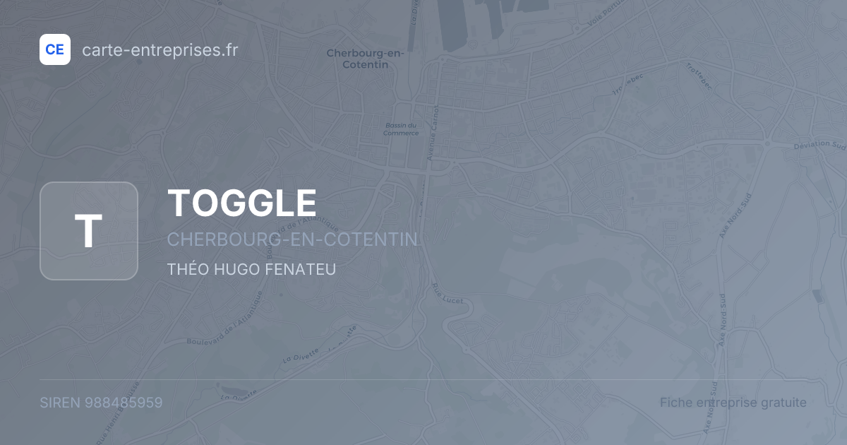 TOGGLE — 988485959 — fiche entreprise