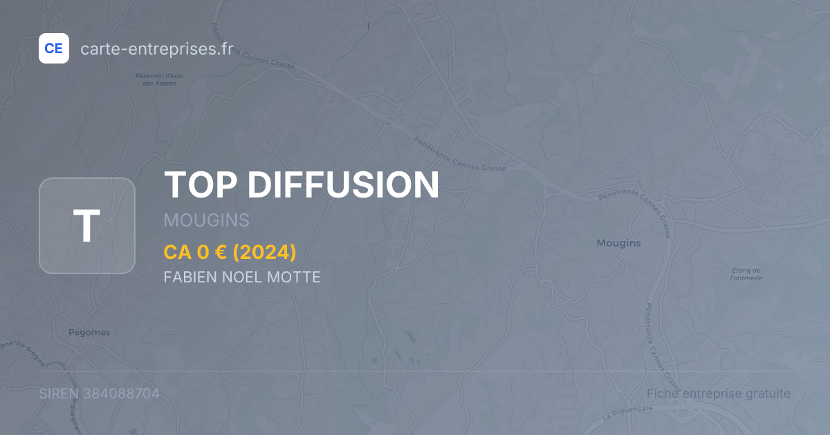 TOP DIFFUSION — 384088704 — fiche entreprise