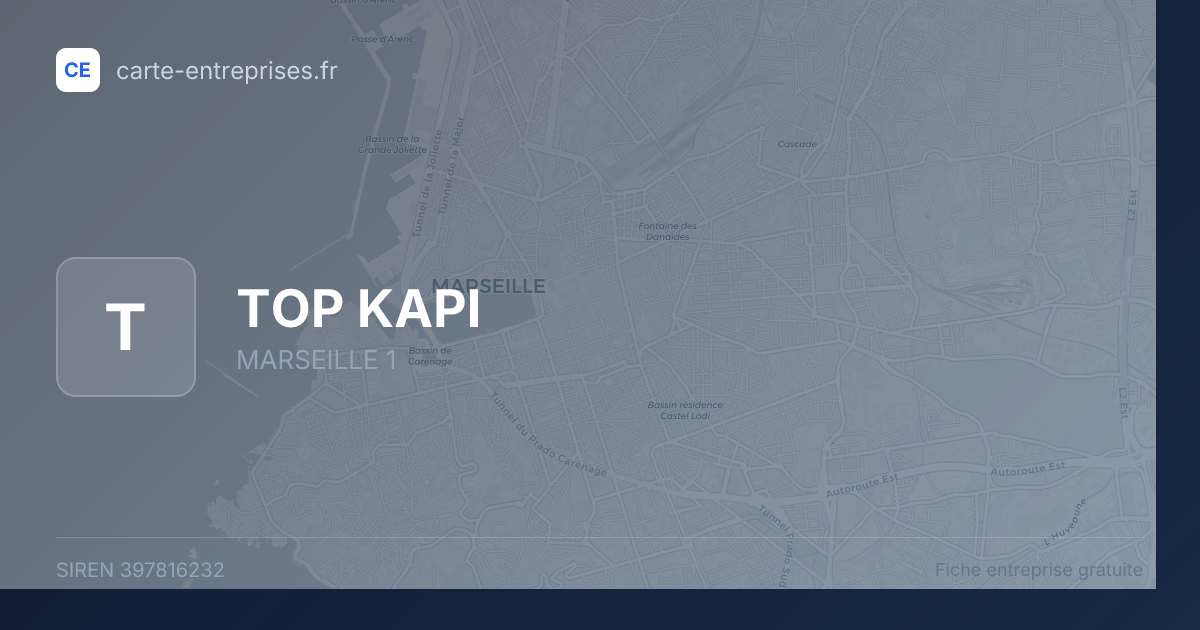 TOP KAPI — 397816232 — fiche entreprise