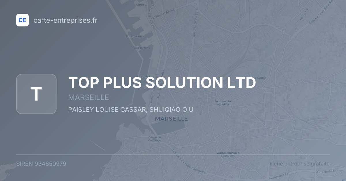 TOP PLUS SOLUTION LTD — 934650979 — fiche entreprise