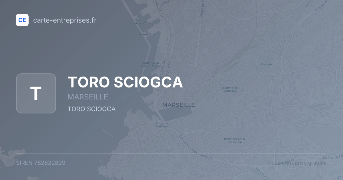 TORO SCIOGCA — 782822829 — fiche entreprise