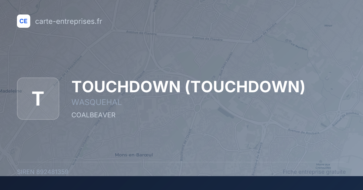 TOUCHDOWN — 892481359 — fiche entreprise