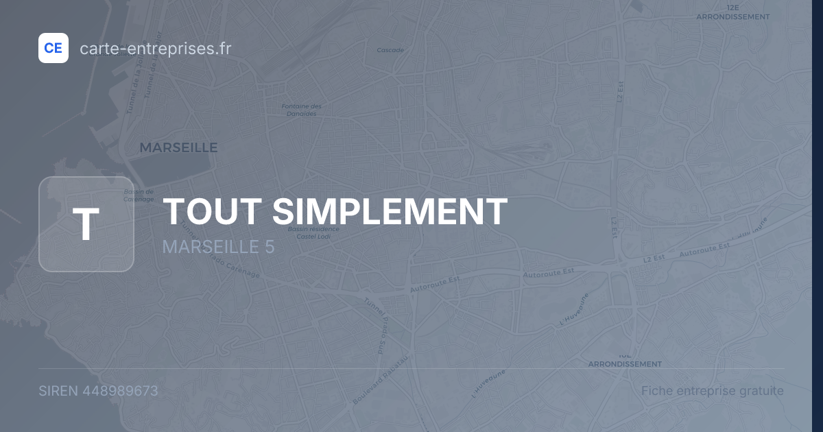 TOUT SIMPLEMENT — 448989673 — fiche entreprise