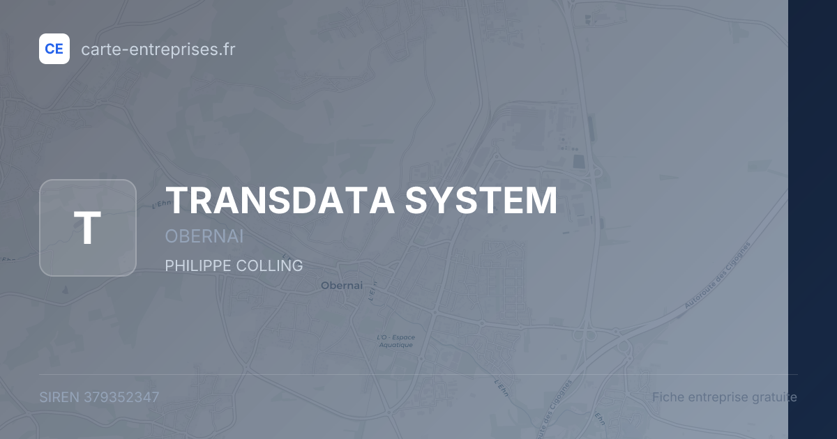 TRANSDATA SYSTEM — 379352347 — fiche entreprise