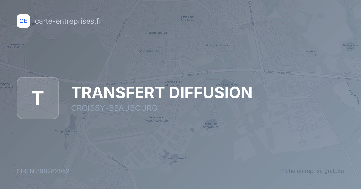 TRANSFERT DIFFUSION — 390282952 — fiche entreprise