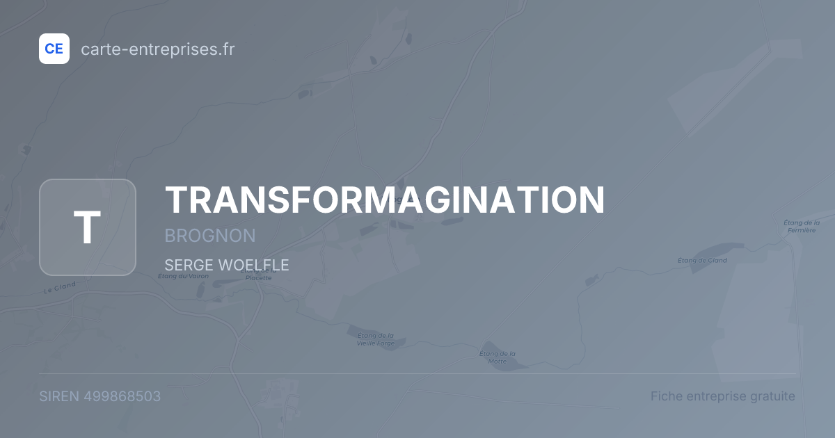 TRANSFORMAGINATION — 499868503 — fiche entreprise