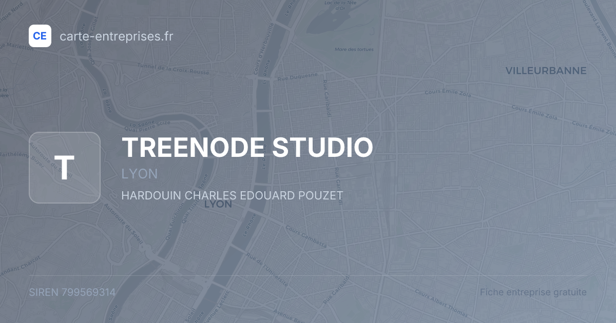 TREENODE STUDIO — 799569314 — fiche entreprise