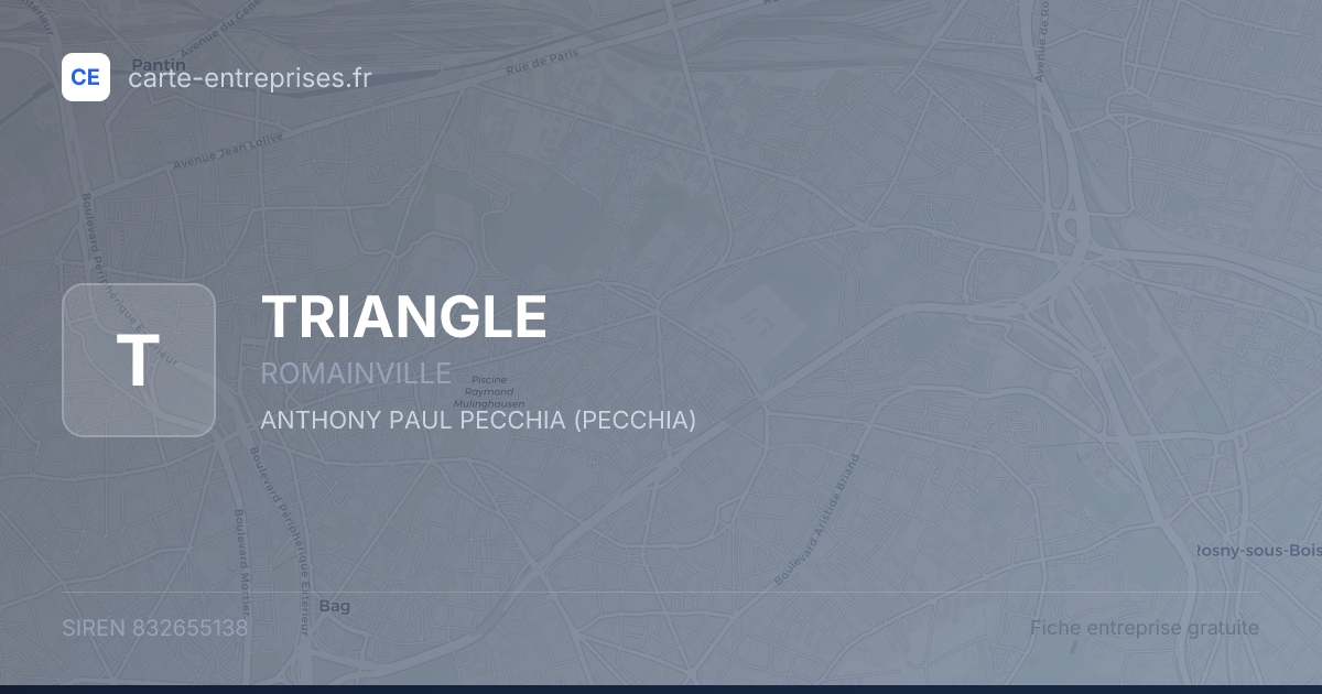 TRIANGLE — 832655138 — fiche entreprise