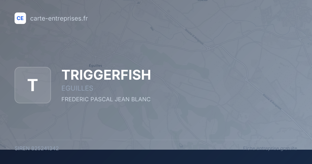 TRIGGERFISH — 825241342 — fiche entreprise