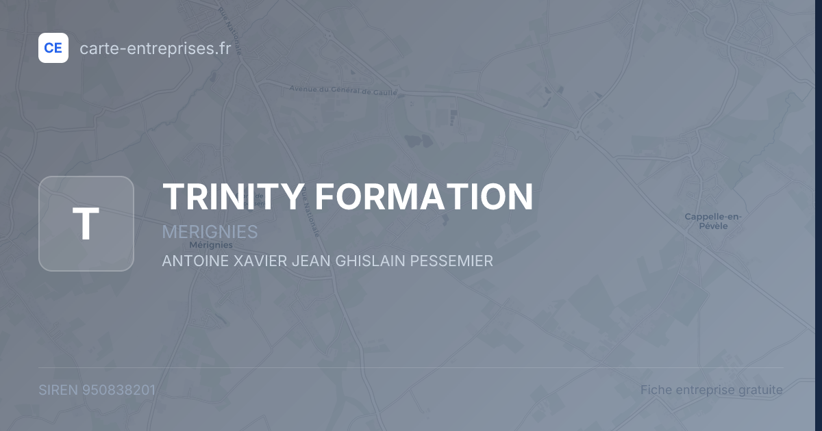 TRINITY FORMATION — 950838201 — fiche entreprise