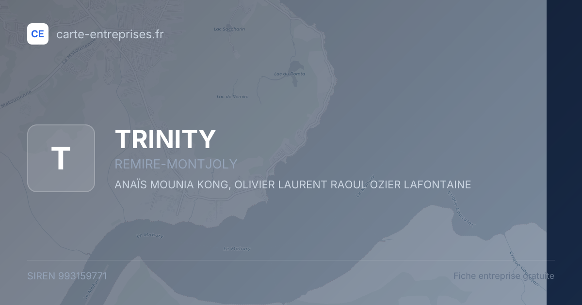 TRINITY — 993159771 — fiche entreprise
