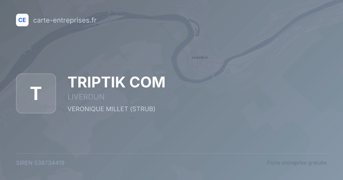 TRIPTIK COM — 538734419 — fiche entreprise