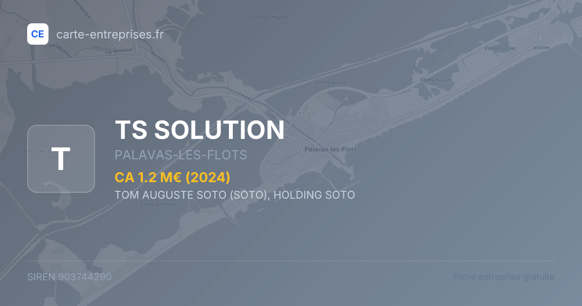 TS SOLUTION — 903744290 — fiche entreprise