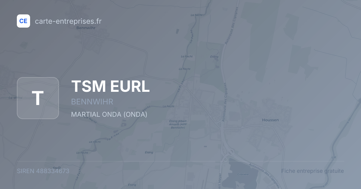 TSM EURL — 488334673 — fiche entreprise