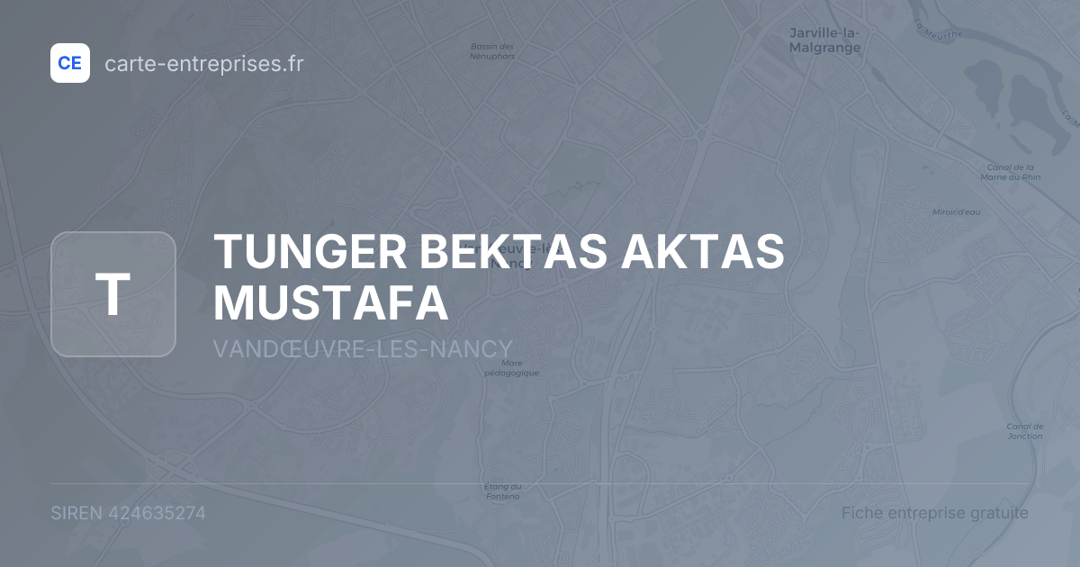 TUNGER BEKTAS AKTAS MUSTAFA — 424635274 — fiche entreprise