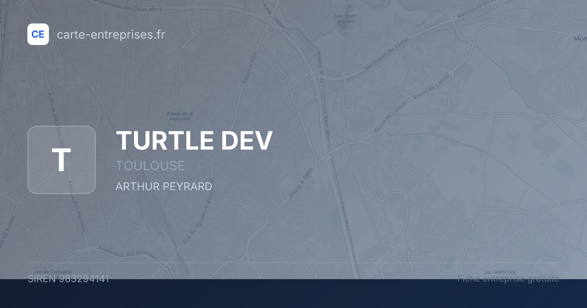 TURTLE DEV — 983294141 — fiche entreprise