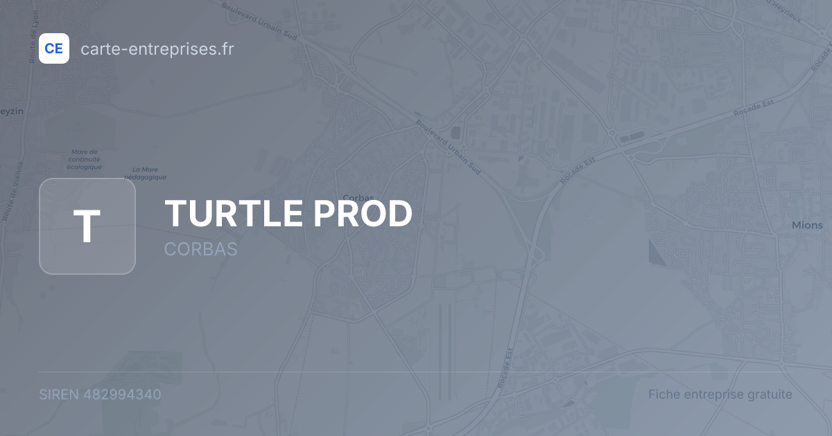 TURTLE PROD — 482994340 — fiche entreprise