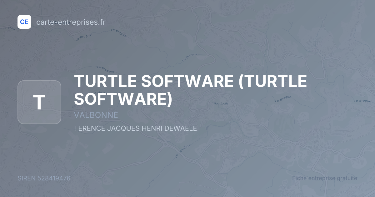 TURTLE SOFTWARE — 528419476 — fiche entreprise