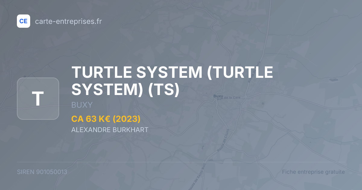 TURTLE SYSTEM (TURTLE SYSTEM) (TS) — 901050013 — fiche entreprise