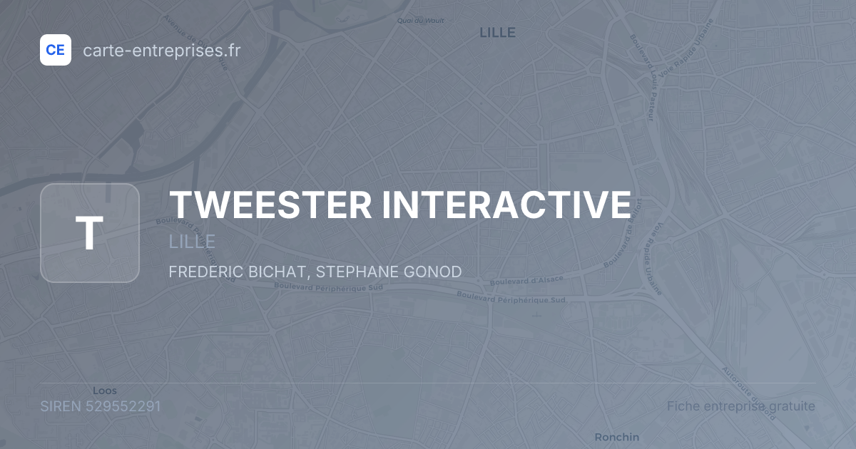 TWEESTER INTERACTIVE — 529552291 — fiche entreprise