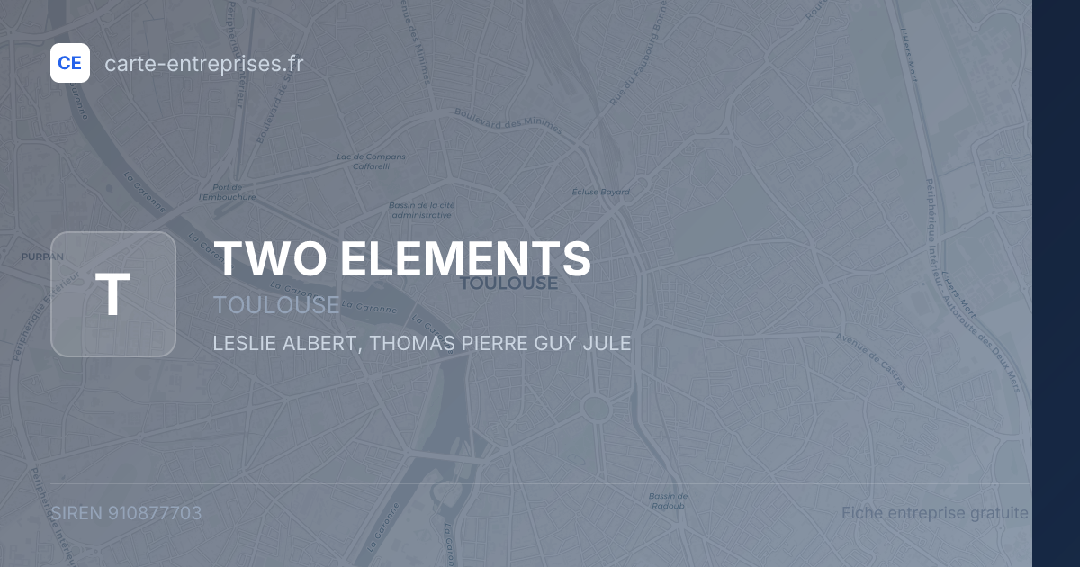 TWO ELEMENTS — 910877703 — fiche entreprise