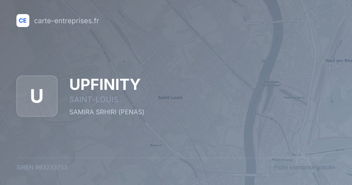 UPFINITY — 993233253 — fiche entreprise