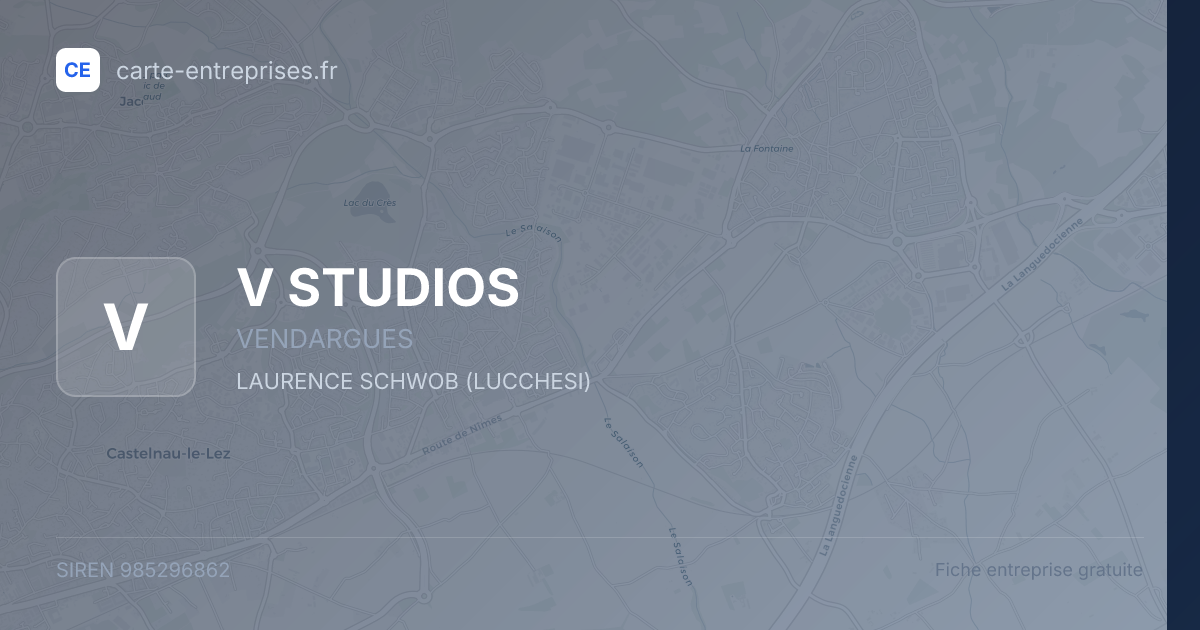 V STUDIOS — 985296862 — fiche entreprise