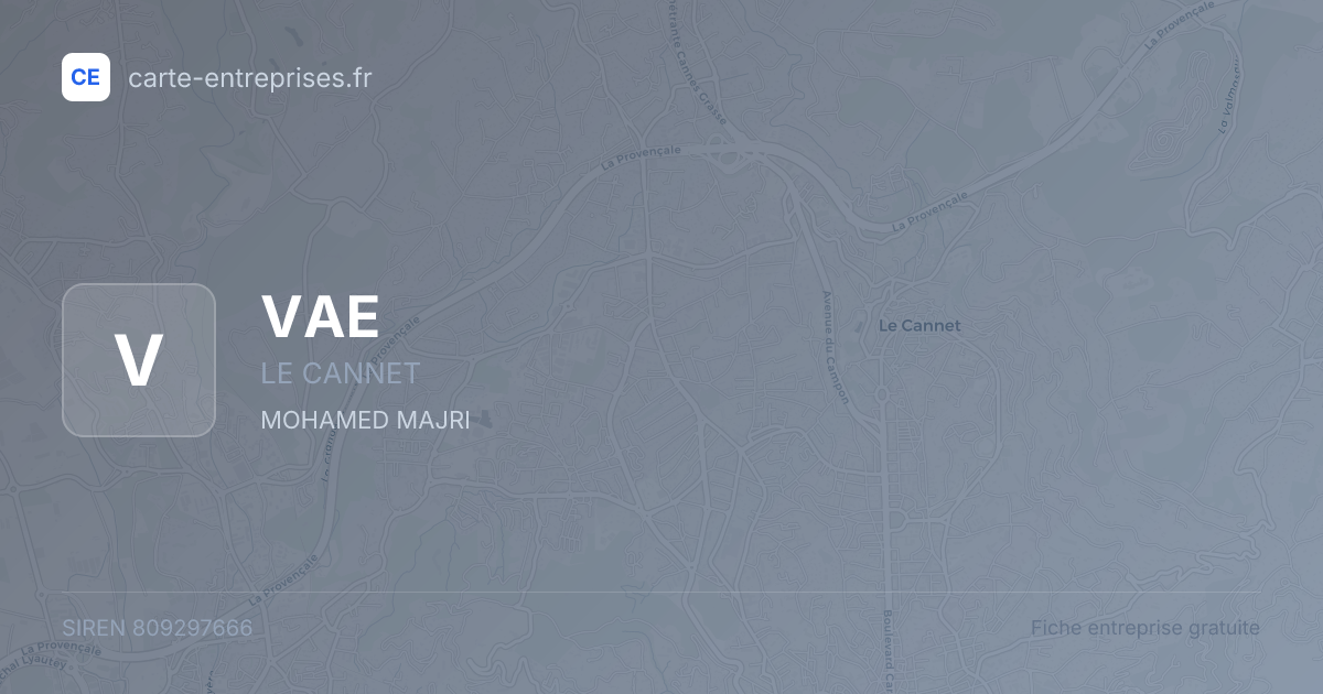 VAE — 809297666 — fiche entreprise