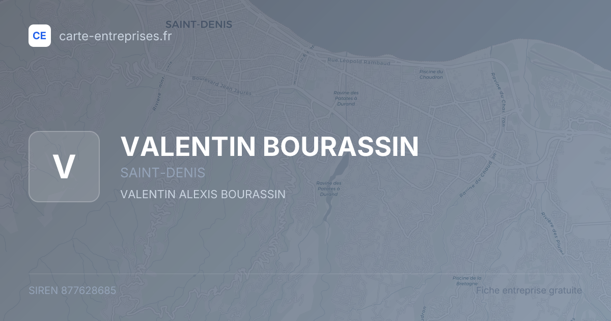 VALENTIN BOURASSIN — 877628685 — fiche entreprise