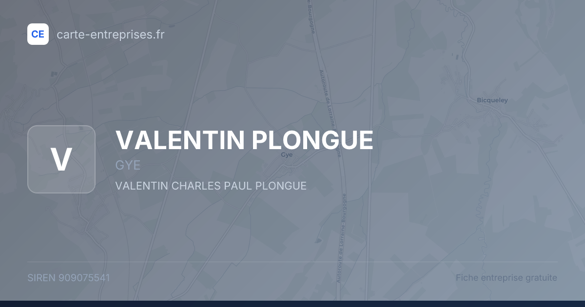 VALENTIN PLONGUE — 909075541 — fiche entreprise