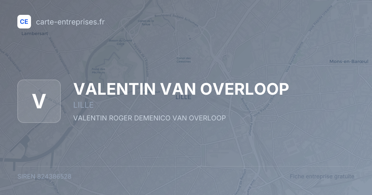 VALENTIN VAN OVERLOOP — 824386528 — fiche entreprise