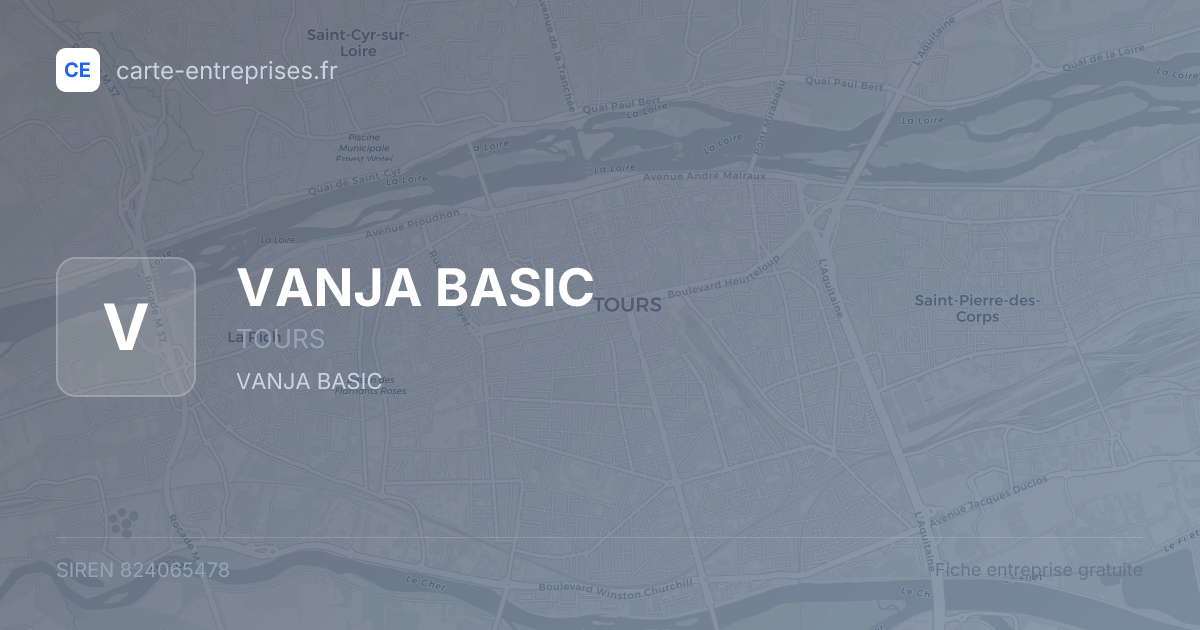 VANJA BASIC — 824065478 — fiche entreprise