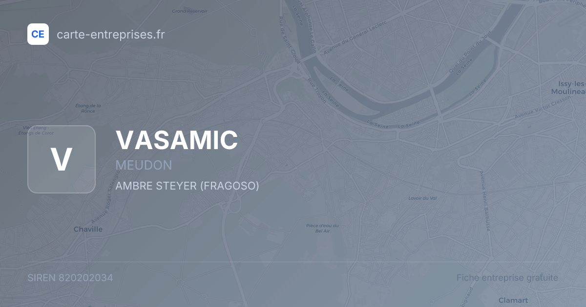 VASAMIC — 820202034 — fiche entreprise