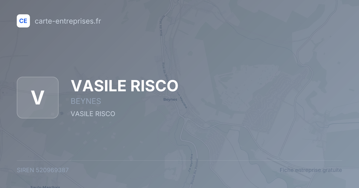 VASILE RISCO — 520969387 — fiche entreprise