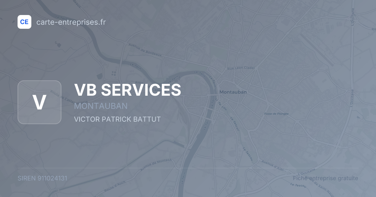 VB SERVICES — 911024131 — fiche entreprise
