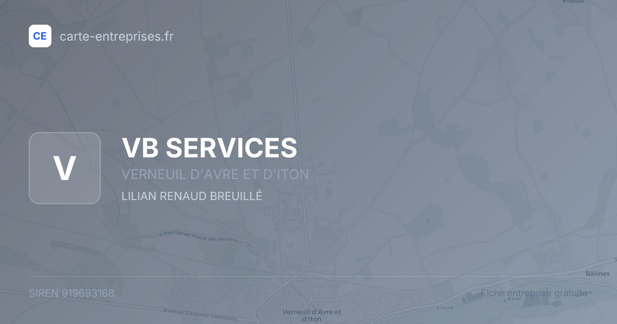 VB SERVICES — 919693168 — fiche entreprise
