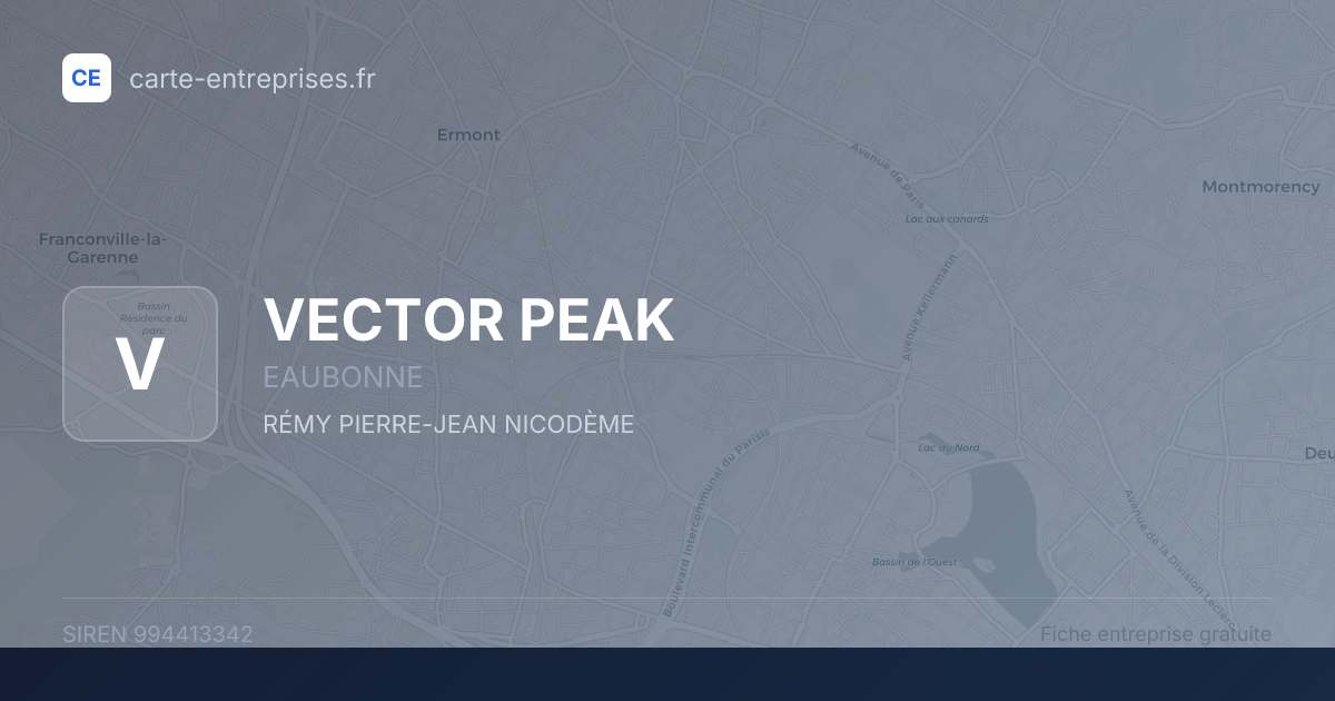 VECTOR PEAK — 994413342 — fiche entreprise