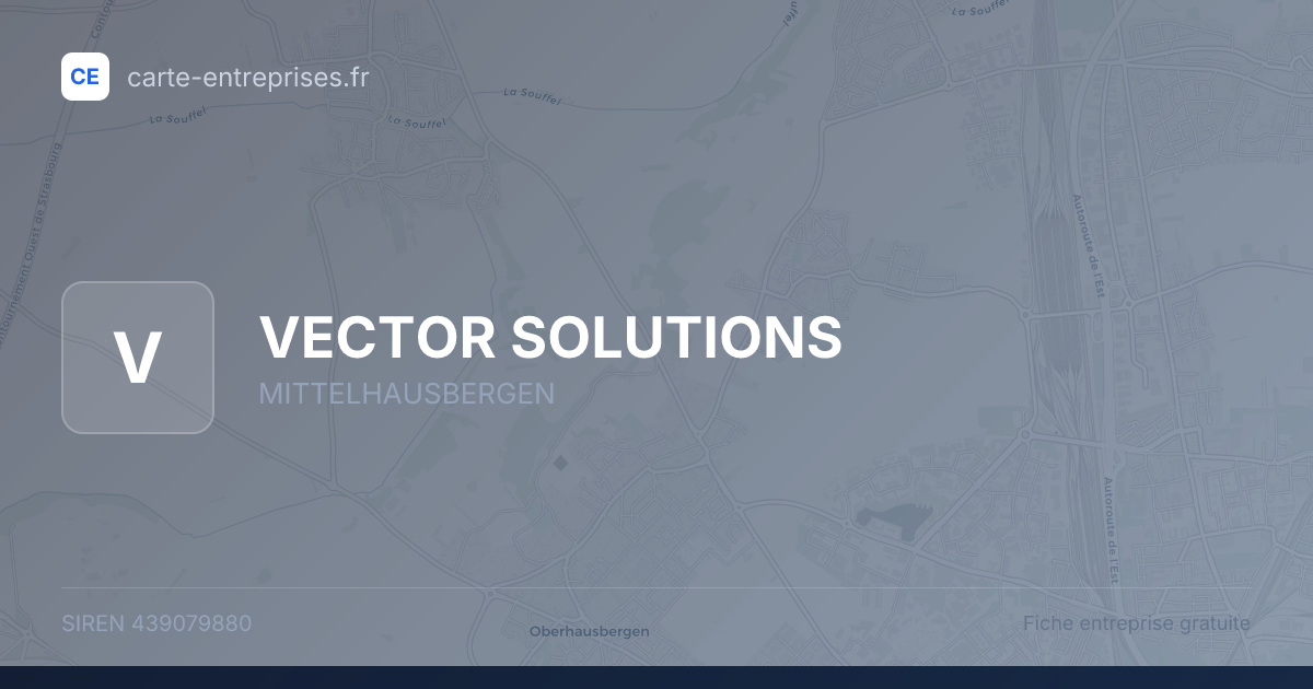 VECTOR SOLUTIONS — 439079880 — fiche entreprise