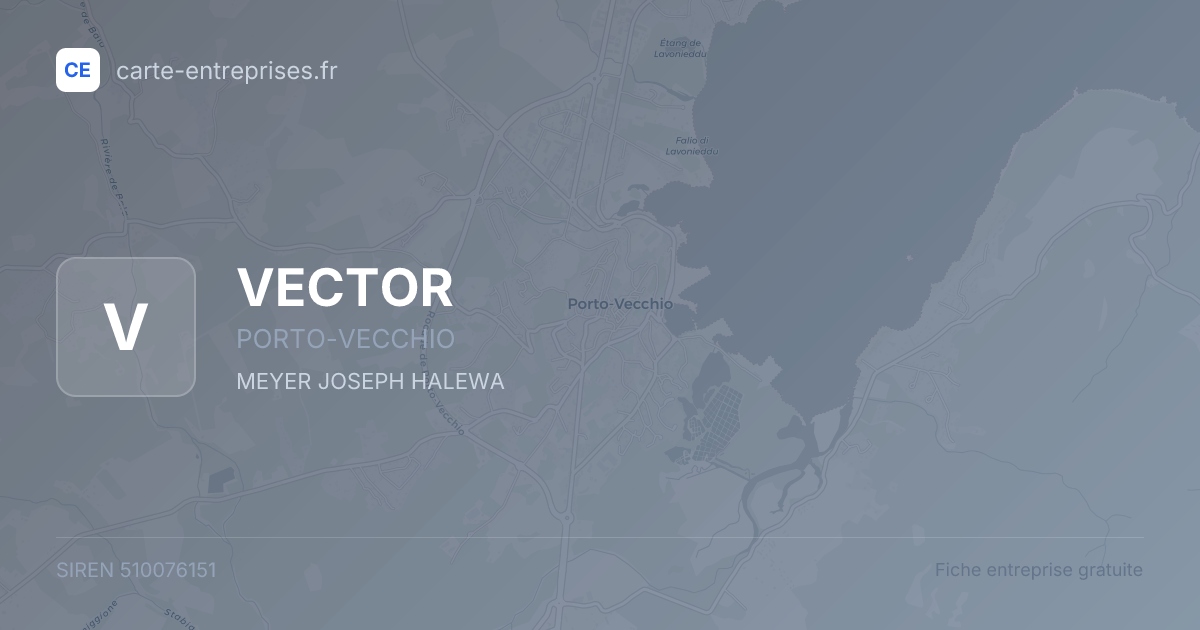 VECTOR — 510076151 — fiche entreprise
