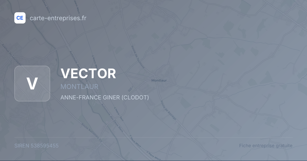 VECTOR — 538595455 — fiche entreprise