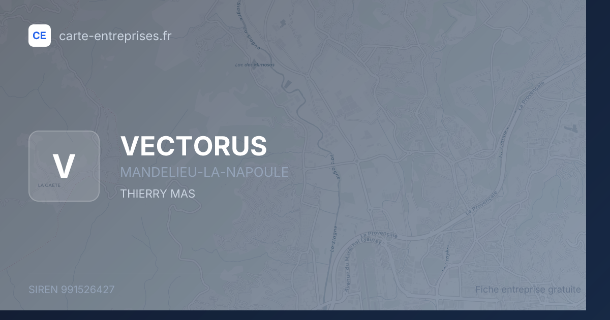 VECTORUS — 991526427 — fiche entreprise