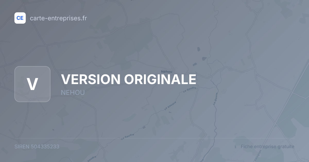 VERSION ORIGINALE — 504335233 — fiche entreprise