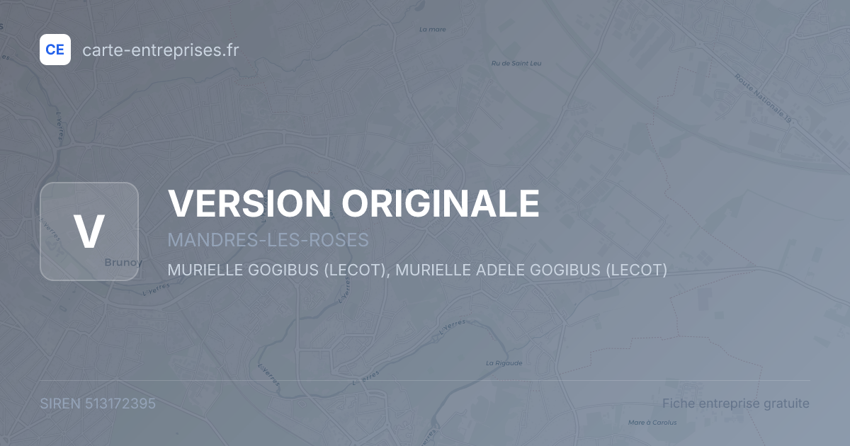 VERSION ORIGINALE — 513172395 — fiche entreprise