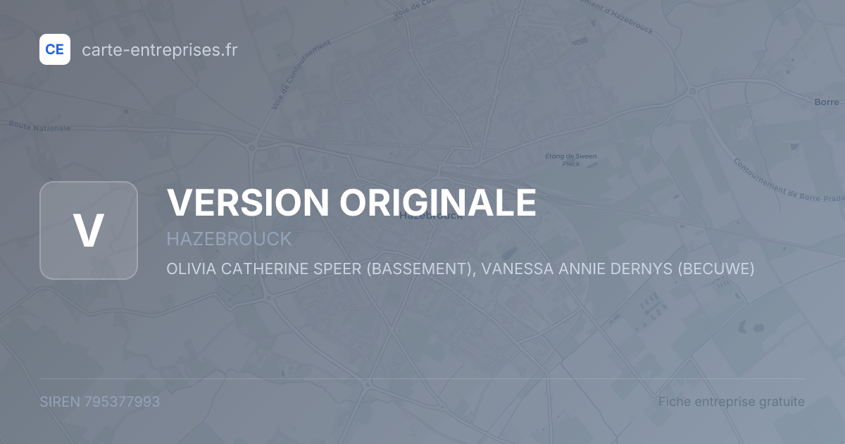 VERSION ORIGINALE — 795377993 — fiche entreprise