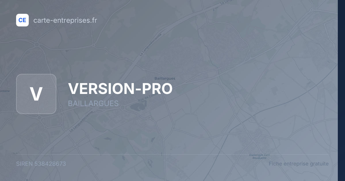 VERSION-PRO — 538428673 — fiche entreprise