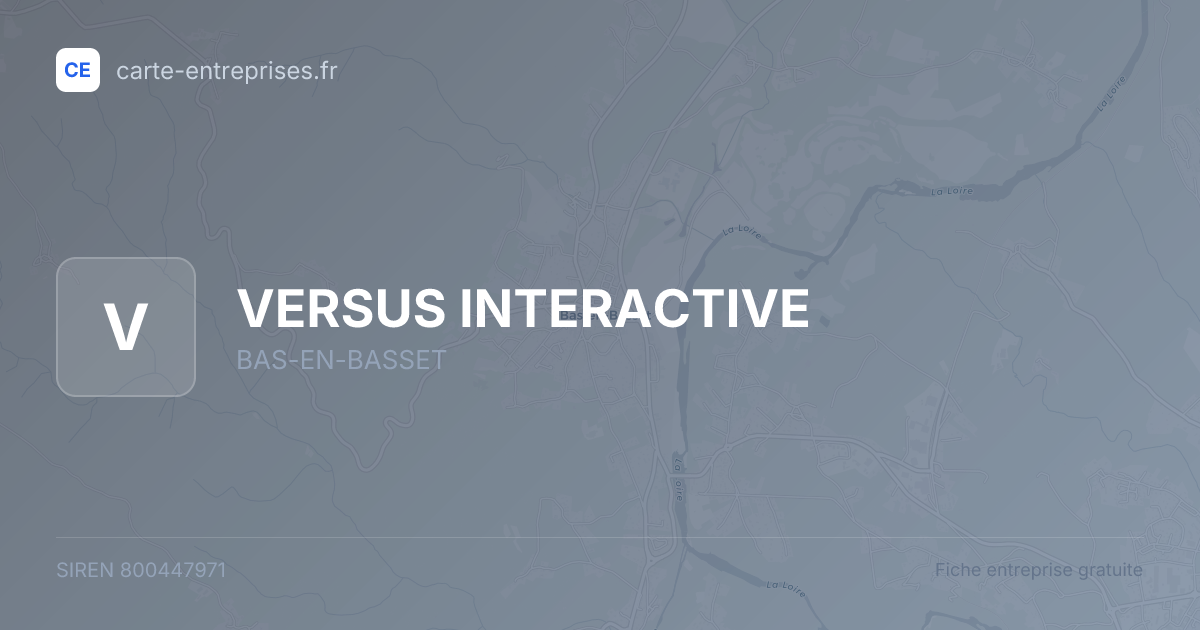 VERSUS INTERACTIVE — 800447971 — fiche entreprise