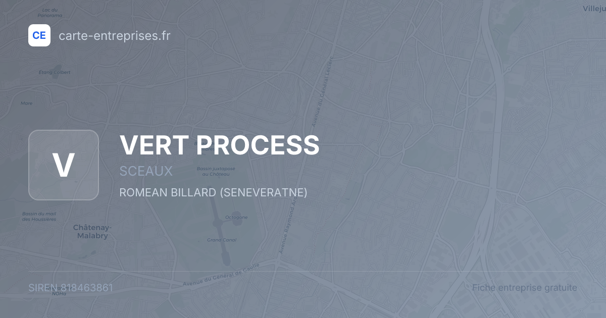 VERT PROCESS — 818463861 — fiche entreprise