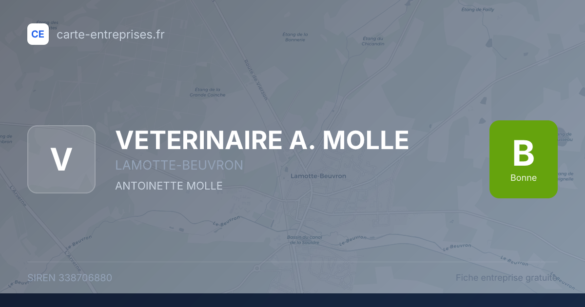 VETERINAIRE A. MOLLE — 338706880 — fiche entreprise