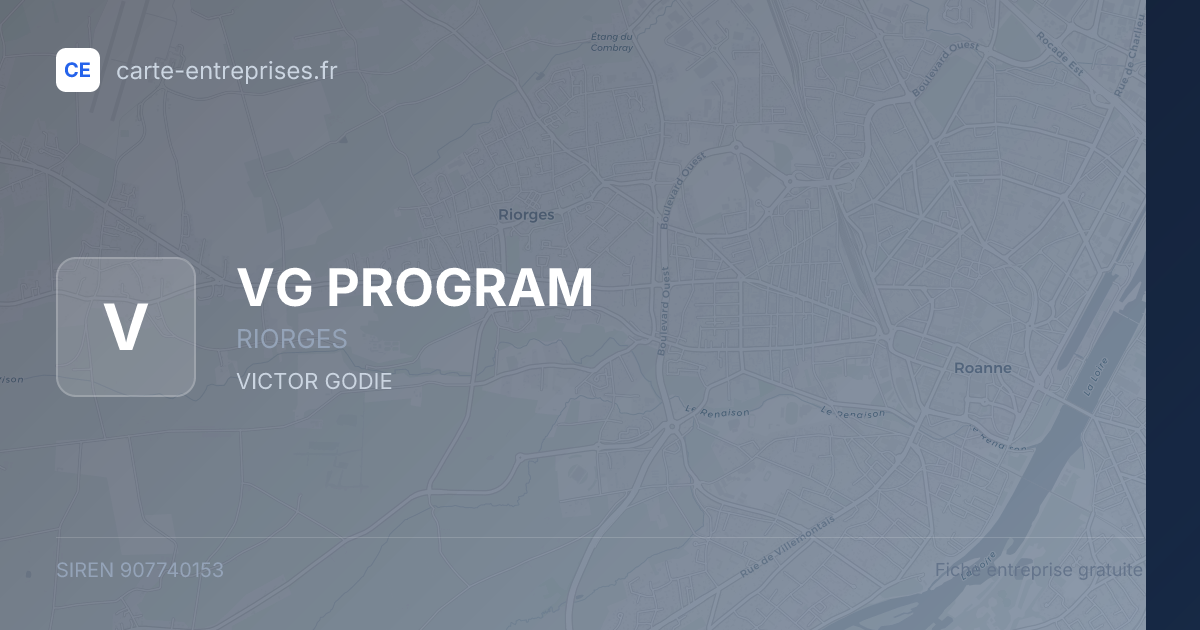 VG PROGRAM — 907740153 — fiche entreprise